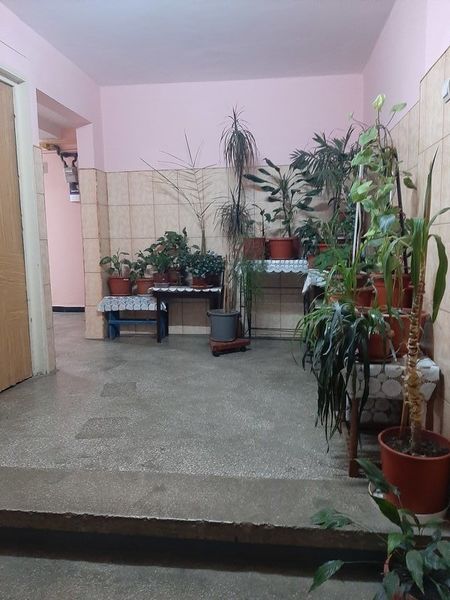 Militari, str. Murguta, Gorjului, proprietar